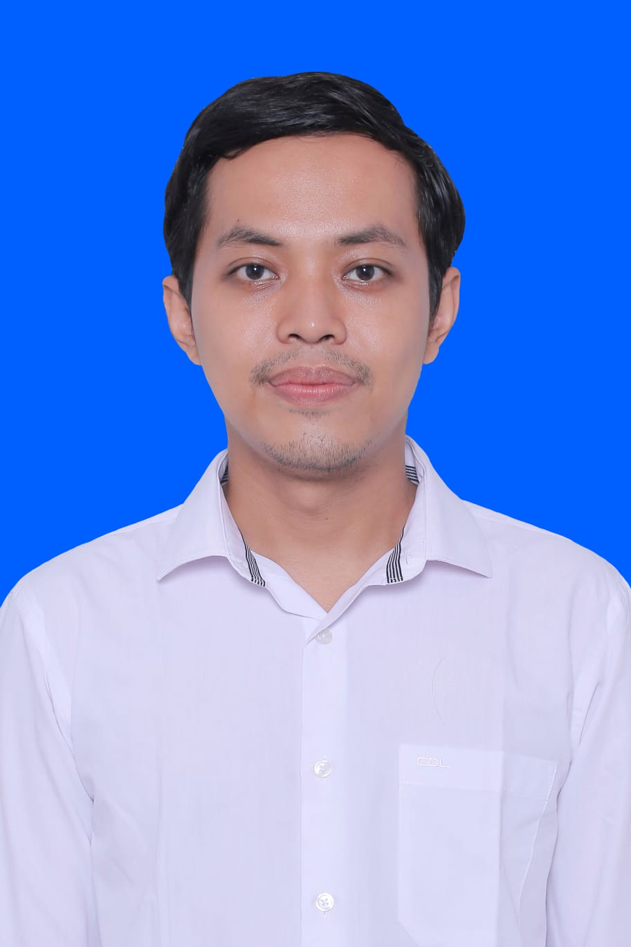Prof. Dr. Ir. Hadi Wijaya